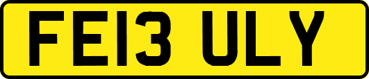 FE13ULY