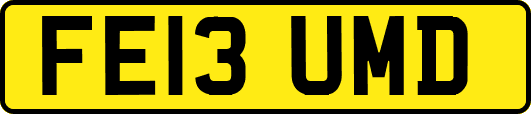 FE13UMD
