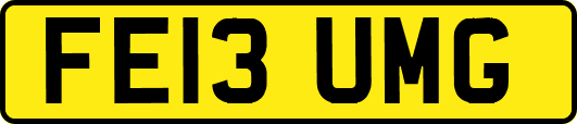 FE13UMG