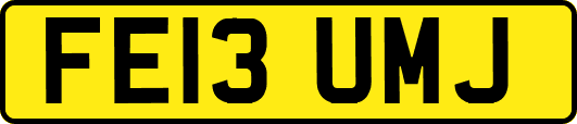 FE13UMJ