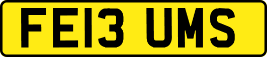 FE13UMS