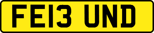 FE13UND