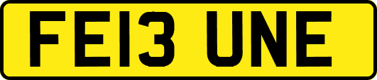 FE13UNE