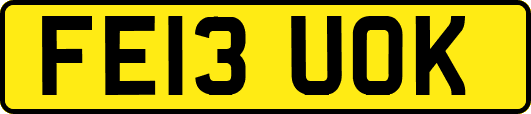 FE13UOK