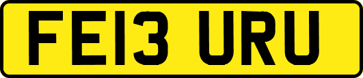 FE13URU