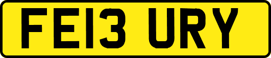 FE13URY