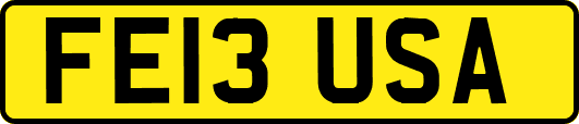 FE13USA