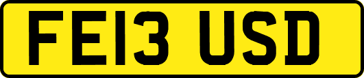 FE13USD