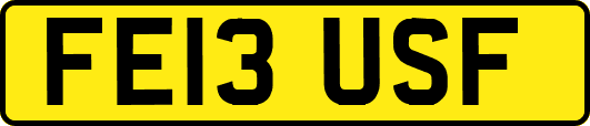 FE13USF