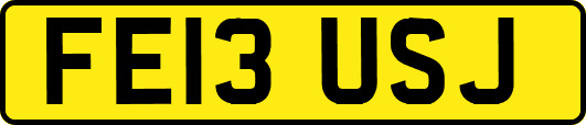 FE13USJ