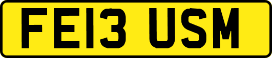 FE13USM