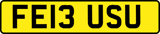 FE13USU