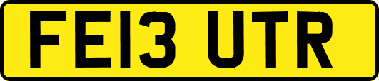FE13UTR
