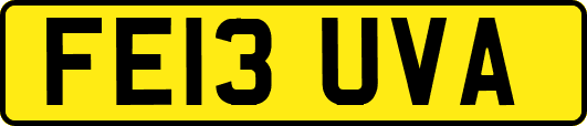 FE13UVA