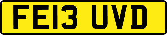 FE13UVD