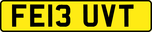 FE13UVT
