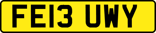 FE13UWY