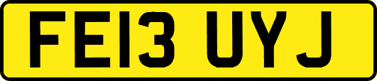 FE13UYJ