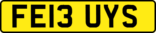 FE13UYS