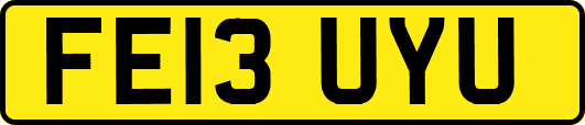 FE13UYU