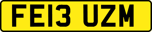 FE13UZM