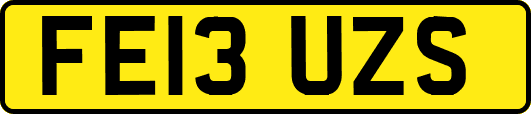 FE13UZS