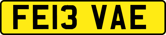 FE13VAE