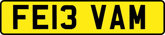 FE13VAM