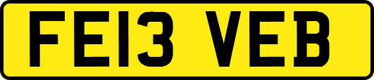 FE13VEB