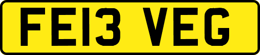 FE13VEG