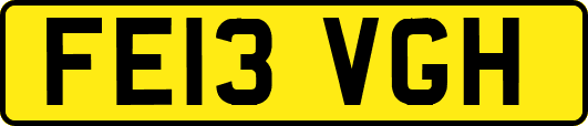 FE13VGH