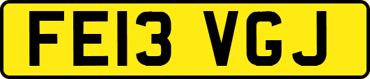FE13VGJ