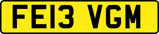 FE13VGM