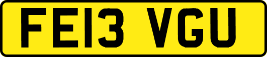 FE13VGU