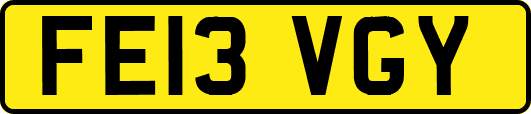FE13VGY