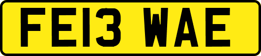FE13WAE