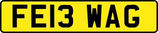 FE13WAG