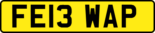 FE13WAP