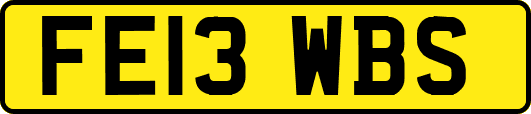 FE13WBS