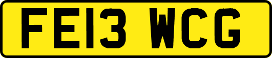FE13WCG
