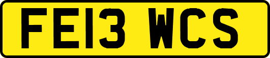 FE13WCS