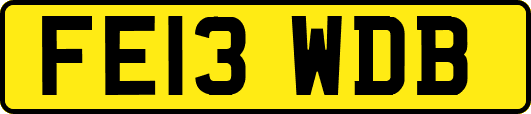 FE13WDB
