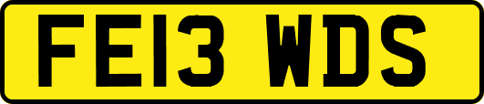 FE13WDS