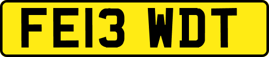 FE13WDT