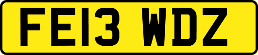 FE13WDZ