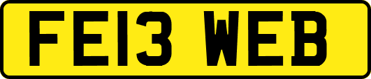 FE13WEB