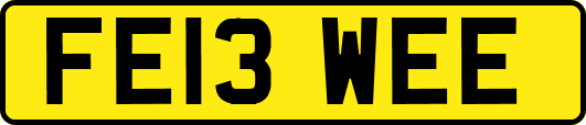 FE13WEE