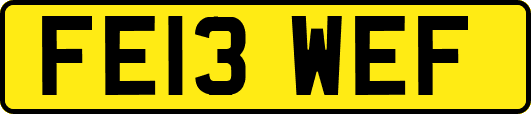 FE13WEF
