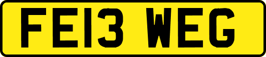 FE13WEG