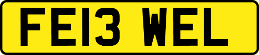 FE13WEL